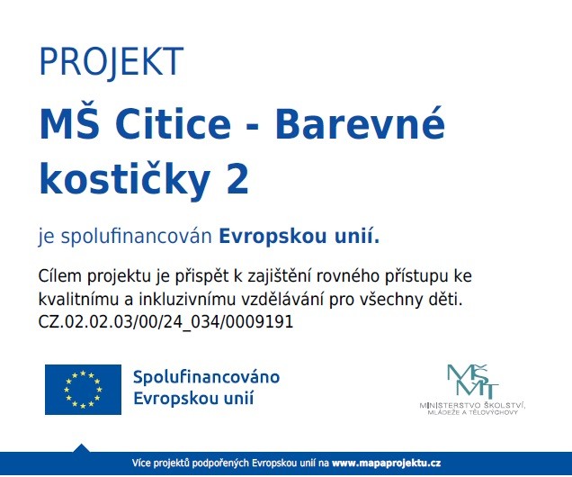 ms-citice-barevne-kosticky2.jpg